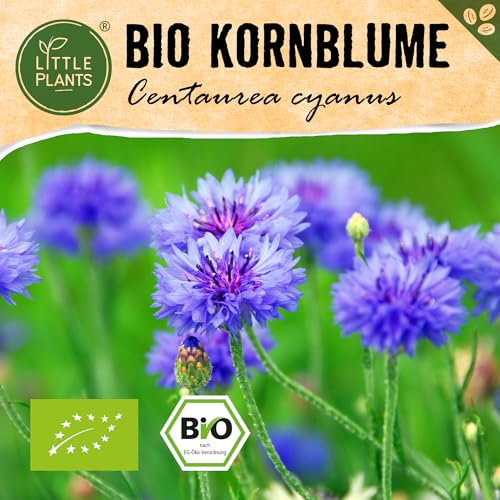 Little Plants BIO Kornblumen Samen, 145 Kornblumensamen, hohe Keimrate, 100% Natürlich, BIO Samen Kornblume für Blumengarten Blumenbeet Hochbeet – BIO Blumensamen Blumenwiese Nachhaltig