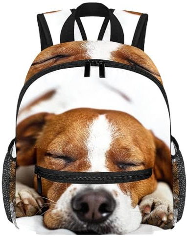 Niedlicher Mini-Rucksack für Jungen und Mädchen, schlafender Hund, Vorschulrucksäcke für Schule, Kindergarten, Elementar-Kindertasche, für Kinder von 3–8 Jahren, multi, 25.4x10x30 CM/10x4x12 in