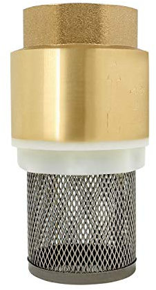 Clapet crepine anti retour 1/2 3/4 1 1-1/4 1-1/2 2- 3 pouce - vanne non retour clapet pompe (1/2 pouce)