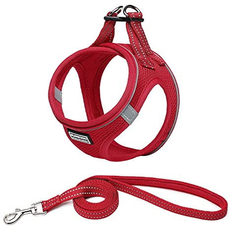 Suredoo Hundegeschirr mit Leine Anti Zug Geschirr Reflektierend Brustgeschirr für Kleine Hunde, Haustiere, Welpen, Katzen (Rot, M)
