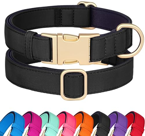 Didog Hundehalsband aus Nylon, weich gepolstert, strapazierfähiges Hundehalsband mit Schnellverschluss-Metallschnalle, leichtes und atmungsaktives Hunde Halsband für große, mittelgroße,Schwarz,L