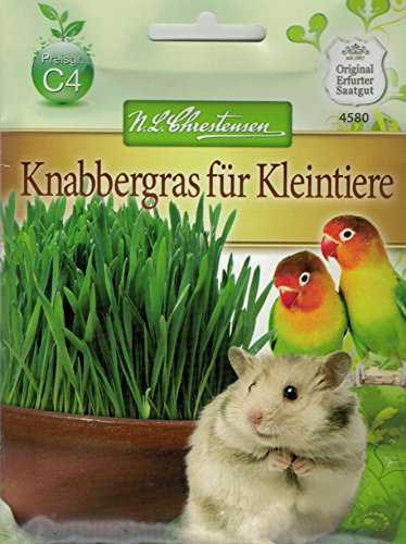 Chrestensen 'Knappergras für Kleintiere' Saatmischung