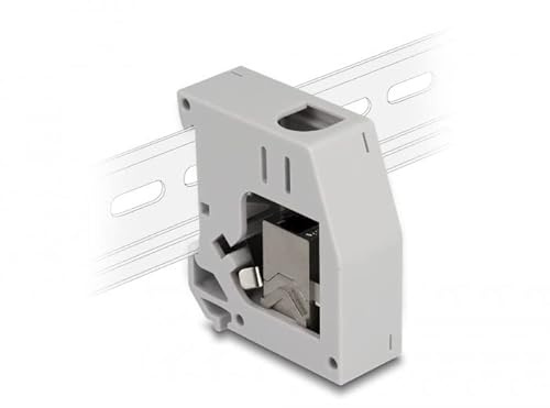 Delock Hattskenadapter med Keystone modul RJ45-uttag till RJ45-uttag Cat.6A