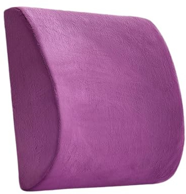 zwxqe Coussin de soutien lombaire | Coussin de bas du dos | Soutien lombaire, coussin de voyage pour le bas du dos, soutien du dos de siège de voiture, coussin lombaire à lent, coussin de