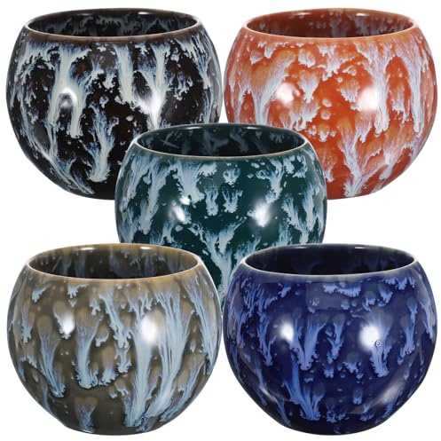 HAMPPLIES Service à Thé en Céramique Simple - Coffret de 5 Tasses à Thé Vintage avec Émail Jianzan - Idéal pour Maison et Cadeau pour Amateur de Thé