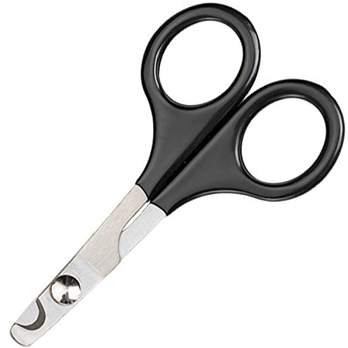 Master Grooming Tools Nagelsax för husdjur – sax i rostfritt stål för trimning av naglar på katter och fåglar – medium, 12,7 cm
