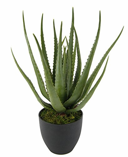 Flair Flower Künstliche Aloe Vera Topf Kunstpflanze Agave Sansevieria Pflanzen Grünpflanze Kunstblume Topfpflanze Zimmerpflanze Deko Terrasse Balkon, Kunststoff, Grün, 56 x 20 x 20 cm, 151413GN