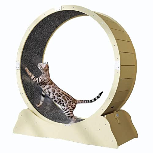 Laufrad für Katzen, Indoor-Katzen-Übungsrad – klein, mittelgroß, groß, lustiges Katzenlaufrad mit Sicherheitsschloss, geräuschlose Rollen, Katzenlaufband/Spielzeug zum Abnehmen (Größe: Innen
