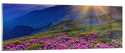 Panorama Bilder auf Glas Wiese Berge Landschaft Glasbild 90x30cm Wandbilder Dekoration Wohnzimmer Schlafzimmer Küche Klein Wanddeko Bild im Glas Wand Kunstdruck Art Modern Wall Decor GAB90x30-2676