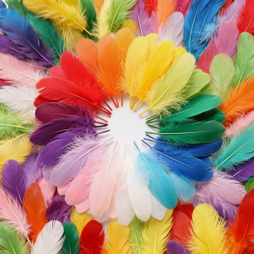 500 Stück Federn Zum Basteln 8 bis 12 Farben Bunte Federn Mit Sicherheitszertifizierung Geeignet Für Papagei Kostüm DIY Party Geburtstag Hochzeit Deko Handwerkswaren