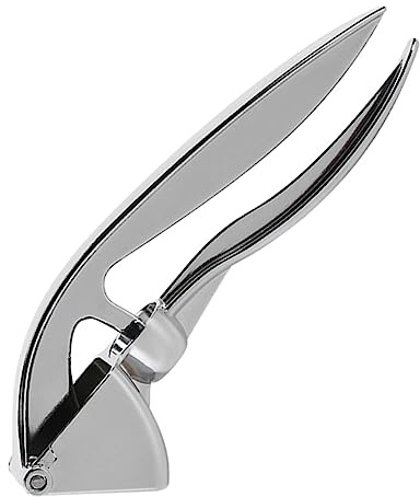 Luxshiny Presse-ail Manuel En Acier Inoxydable Argenté, Outil Cuisine Pratique Pour Presser Ail Et Gingembre, Adapté Usage Domestique Et Restauration, Ustensile Polyvalent Compact