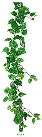 Artificielles.com - Guirlande de feuillage de Pothos panaché artificiel, L 125 cm