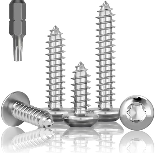 HXJDAM 120 piezas de tornillos autorroscantes de acero inoxidable, M3 x 10 mm, tornillos de cabeza lenticular, A2 V2A, cabeza plana Torx, tornillos para madera, tornillos de cabeza redonda, rosca