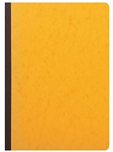 Exacompta 17100E Mehrkolonnenheft (DIN A4, 21 x 29,7 cm, gebunden mit 10 spalten auf 2 seiten und 34 Zeilen, 40 Blatt, 100 g) 1 Stück