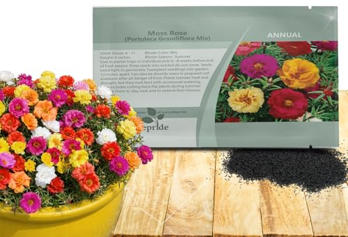 Outsidepride Mixed Moss Rose Seeds - 5000 Pcs Annual, Drought & Heat Tolerant, Pollinator Friendly Ground Cover Seeds for Planting w/Vibrant Blooms & Succulent Foliage, Ideal for Xeriscaping