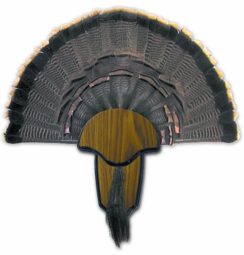 HUNTERS SPECIALTIES Strut Turkey Tail & Beard Mounting Kit - Durable Easy To Assemble Trophy Mount Kit With Hardware Included