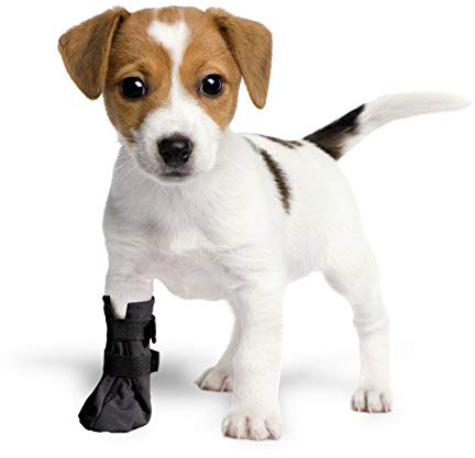 Grande Finale postoperativer Schutz, Schutz- und Wiederherstellungs-Socken, atmungsaktiv, für Hunde, Katzen, 100% Softshell – (2(S)–5cm (2,0 Zoll) H–9 cm, schwarz)