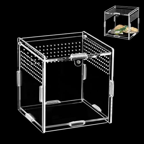 Caja de alimentación para Reptiles, acrílico Mini terrario