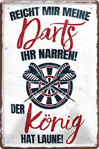 WOGEKA ART Retro Blechschild - Reicht Mir Meine Darts Dart - witziger Spruch als Geschenk-Idee zum Geburtstag Weihnachten zur Dekoration 20x30 cm Vintage-Design aus Metall 233