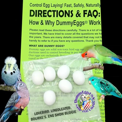 DummyEggs 6 Lovebird (Agapornis) Plastic Dummy Bird Eggs. Trick Your Bird to Stop Egg Laying & Brooding! Realistic Nontoxic 7/8 x 3/4 (22 x 18.5mm) USA