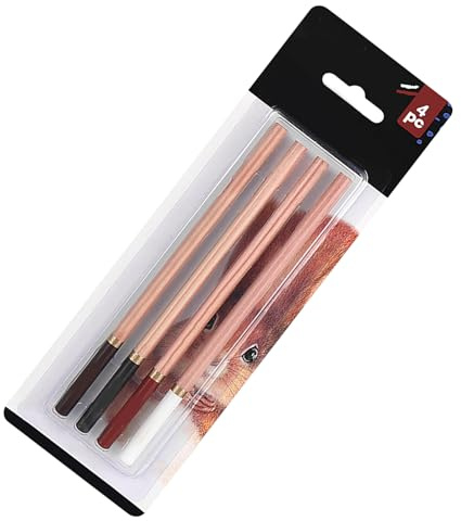 Set di disegno a carboncino 4 matite colorate per schizzo principiante, set di matite a carbone per disegno, ombreggiatura, colorazione, mix di matite colorate,