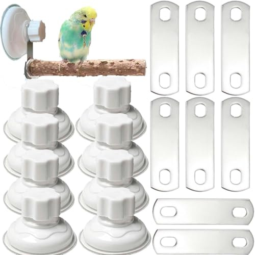 8 Pack Suction Cup Accessory Sets for Bird Perches Bird Stand Sticks Stand Toy Wood Platform for Parrot Parakeet Cockatiel Budgie Suction Cup for Window Bath Shower Car Travel Wall Outdoor Indoor