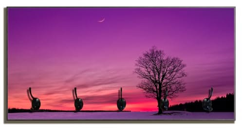 Wallario Wandgarderobe aus Holz in Größe 80 x 40 cm in Premium-Qualität, Motiv: Mond und Baum am Abend bei Schnee | 5 Kleiderhaken zum Aufhängen