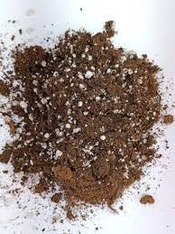 Terriccio Torba Acida + Perlite 10L per Piante Acidofile – Substrato Professionale per Ortensie, Camelie, Bonsai, Carnivore – Drenaggio Perfetto – Biologico e Pronto all’Uso