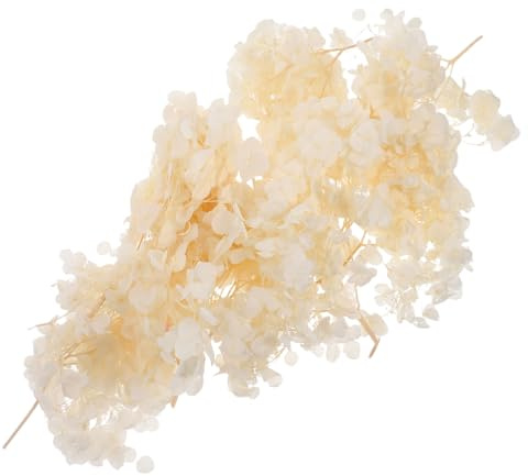 TOGEVAL di Ortensia Essiccati Conservati Naturali Decorazioni per Matrimoni e Feste Vintage per Centrotavola Casa e Giardino Artigianato DIY