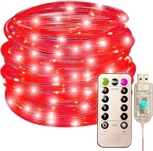 SHANJIA Tubo Luci a Corda, del tubo del LED all'aperto,Impermeabile 8 Modalità USB LED Luce Stringa Fata Luminosa, Luci della corda Outdoor Indoor per Decorazioni di Natale (Rosso, 22m/72ft 200LED)