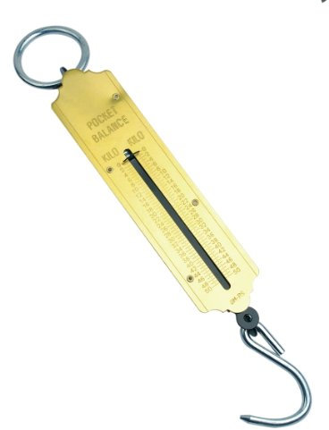 Brüder Mannesmann Taschenfederwaage, 100 kg | M 813-100