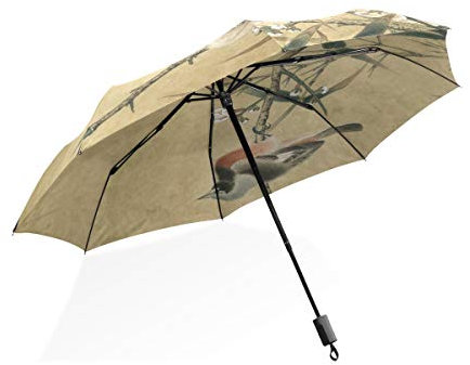 ISAOA Automatischer Reise-Regenschirm, kompakt, faltbar, mit süßen Vögeln, Malerei, winddicht, ultraleicht, UV-Schutz, Regenschirm für Damen und Herren