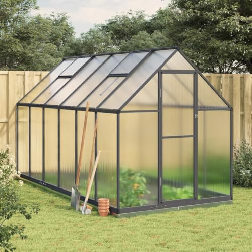 Sufrk Cadre de serre avec base anthracite 334 x 169 x 202 cm en aluminium, serre de jardin et potager en polycarbonate avec toit réglable et porte, cadre en aluminium