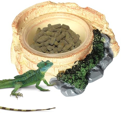 Reptilskål, matare, ödledrickare - tillbehör för akvarium och matbricka för ödlor ormar hamstrar gecko leopard