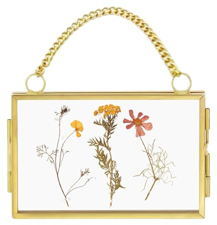 Flytande fotoram - 20 x 25 cm metallkedjehållare, vintage mässing väggdekoration, display med blommor | bärbar utsökt konst upphängningsgalleri utställning presentation H