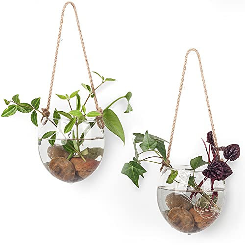 2 Stück Terrarienbehälter, Blumen-Pflanzgefäß, zum Aufhängen, Glas für Hydrokulturpflanzen, Zuhause, Büro, Wohnzimmer, Dekoration, offene Form