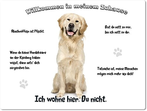 Merchandise for Fans Blechschild/Warnschild/Türschild - Aluminium - 15x20cm - Willkommen in Meinem Zuhause - Motiv: Golden Retriever/Labrador sitzend - 01