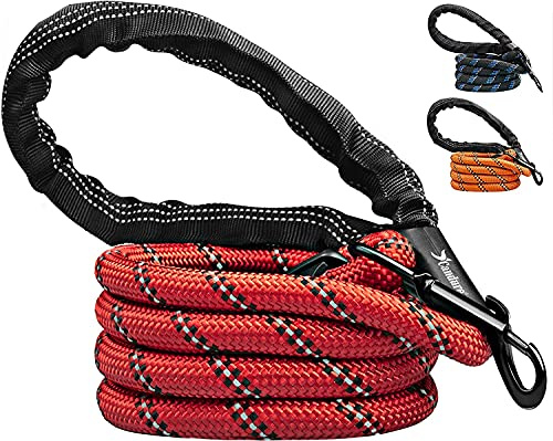 Candure Guinzaglio per Cani, Elastico Nylon Riflettente Resistente Guinzaglio Cane con Morbida Imbottita Impugnatura, 5ft Guinzaglio Addestramento per Cani Taglia Grande,Media e Piccola (Rosso)