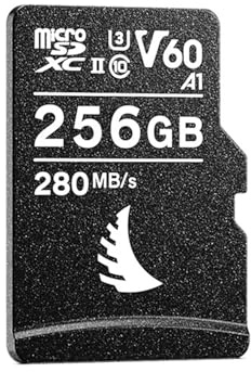 AV PRO microSD V60 256 GB