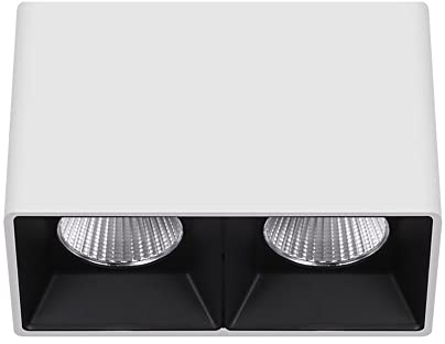 LED Spotlight, 20W 2-Light Indoor Ceiling Lighting Fixture, Rectangle for Kitchen, Living Room And Bedroom, Fixed Track Spot Lamps/Accent Lamp/Wash Wall Lamp