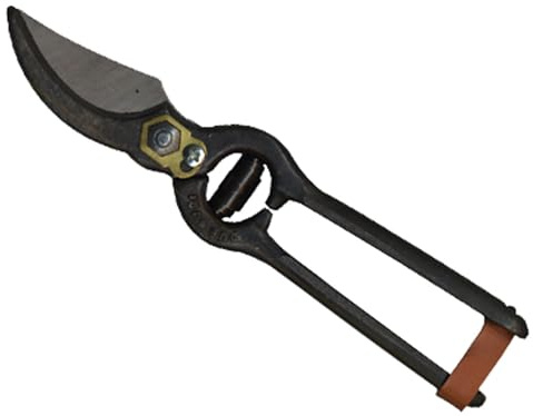 Due Buoi 6977021 Forbici per Vigna Art. 125/S, Acciaio