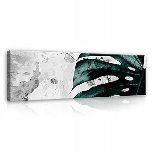 WallArena Leinwand Bilder 145x45 cm | Panorama Blätter Mostera Natur, Leinwandbilder, Bild auf leinwand, Format: 145x45 cm (BxH) - einteilig auf Canvas
