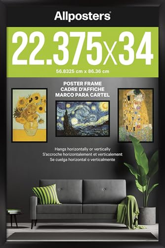 Poster Frame - Black (22.375 x 34) - Deluxe