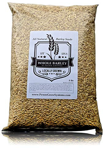 Barley Seeds - All Natural 5 Pounds Whole Barley Seed for Juicing, Malt Brewing, Beer Making