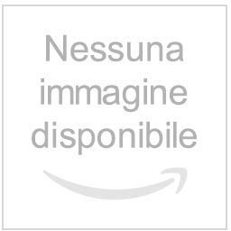 SOFFIATORE/ASPIRATORE A SCOPPIO IDEAL STAR 25,4cc