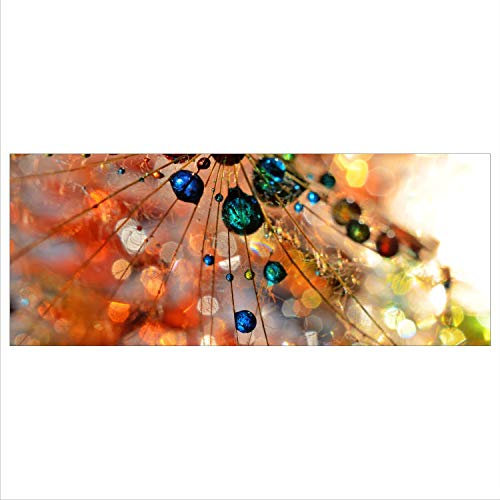 Glasbild 125x50 XL Pusteblume Orange Panorama Wandbild Glasbilder Deko Modern