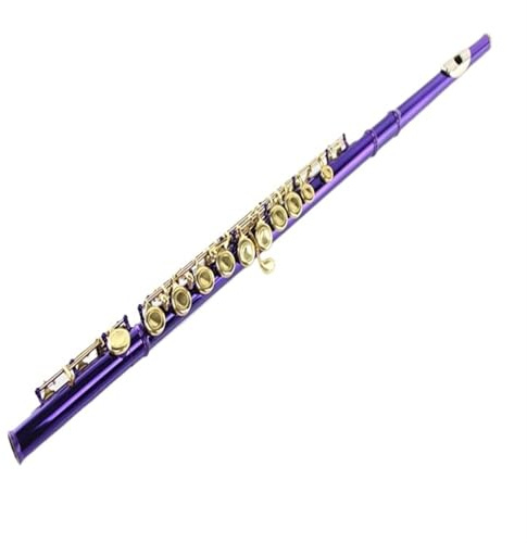 Querflöte Instrument Flöte 16-Loch Geschlossenes Loch C-Stimmung Flöte B-Schwanz E-Tonart Lila Lack Gold-Tonart Flöte