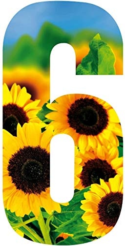 MONOGRAM Classic Signs x3 Wheelie Bin Number Sunflower 6
