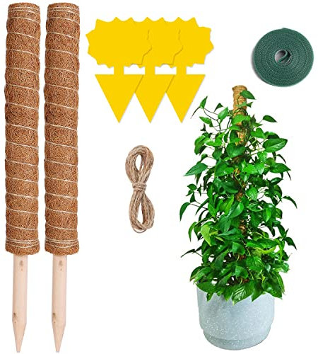 HEPODA 2 Pezzi Sostegno Monstera Supporto Piante 50cm Bastone per Piante Rampicanti Tutore Muschiato per Piante Totem Palo di Cocco Monstera Interno Giardino