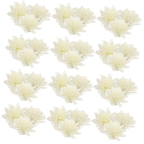 HOLIDYOYO 100stücke Diffuser Chrysanthemen Blumen Aus Aromatherapie Zubehör Für Raumduft Wohnzimmer Schlafzimmer Büro Hochzeit Dekoration Aromadiffusor